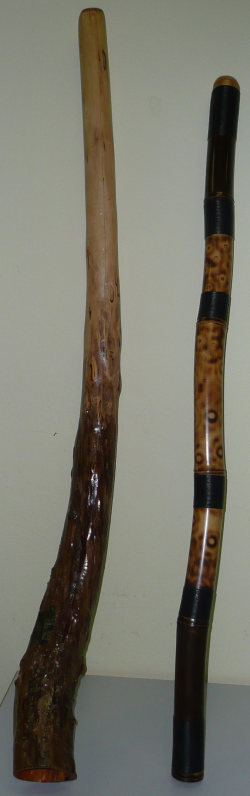 Didgeridoo